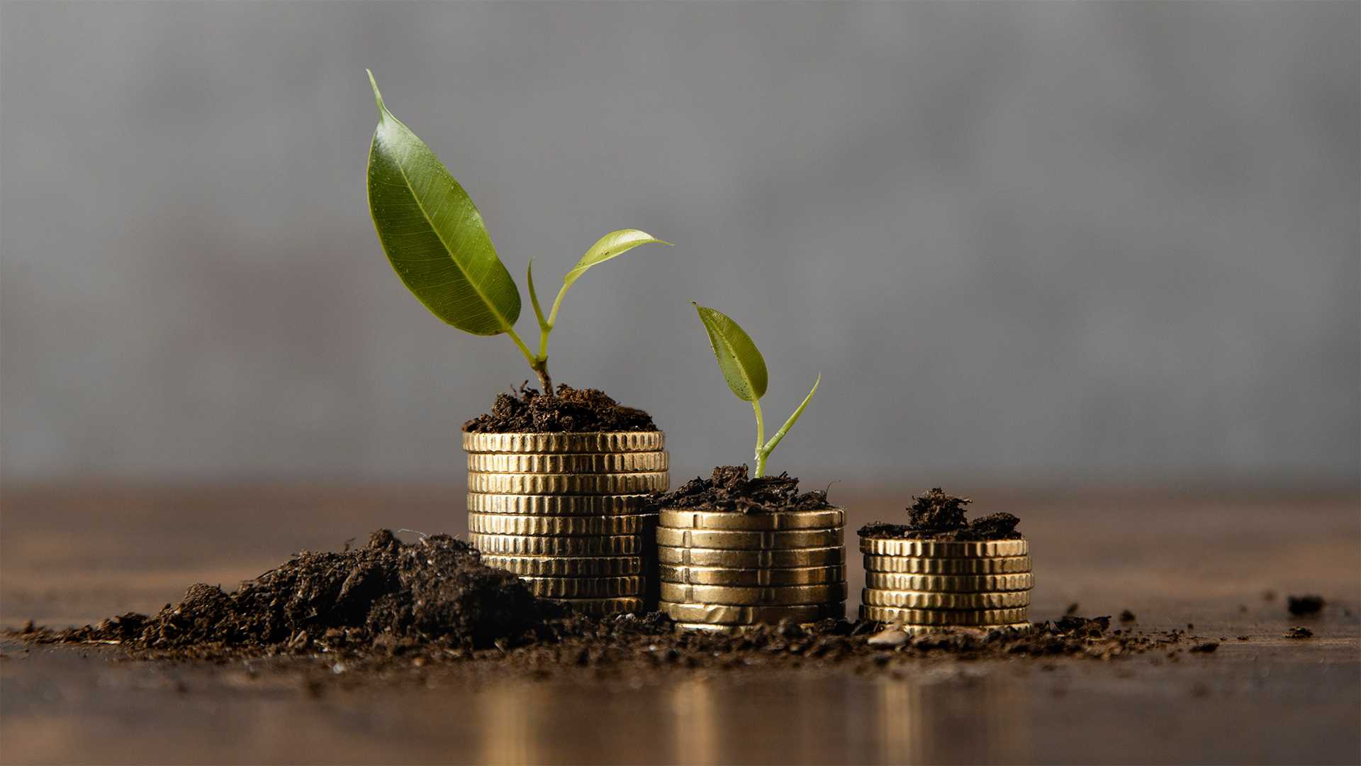 Frost & Sullivan Institute Global Priorities