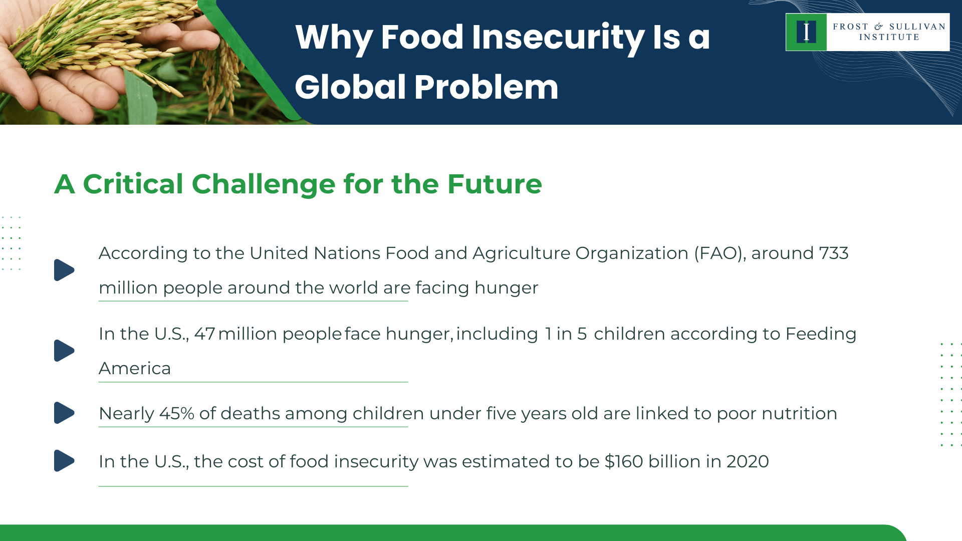 Why Food Insecurity Is a Global Problem A Critical Challenge for the Future