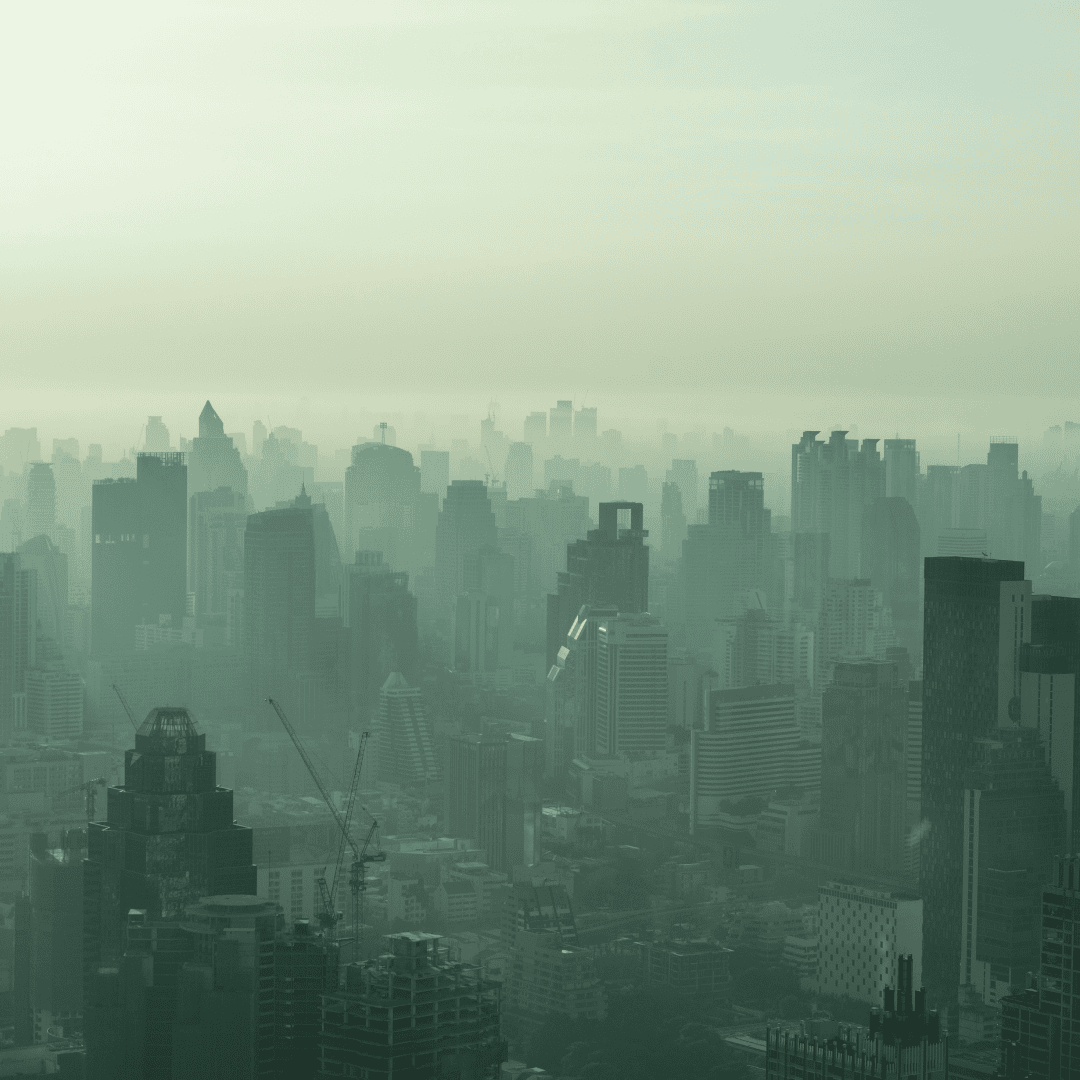 Urban Air Pollution and Economic Development in India